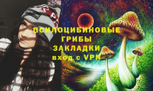 твердый Майский