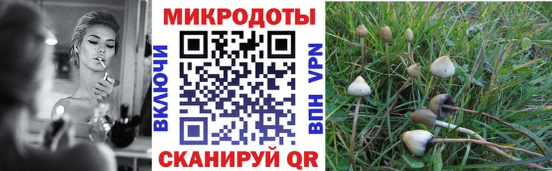 купить сайты Невельск Псилоцибиновые грибы MAGIC MUSHROOMS